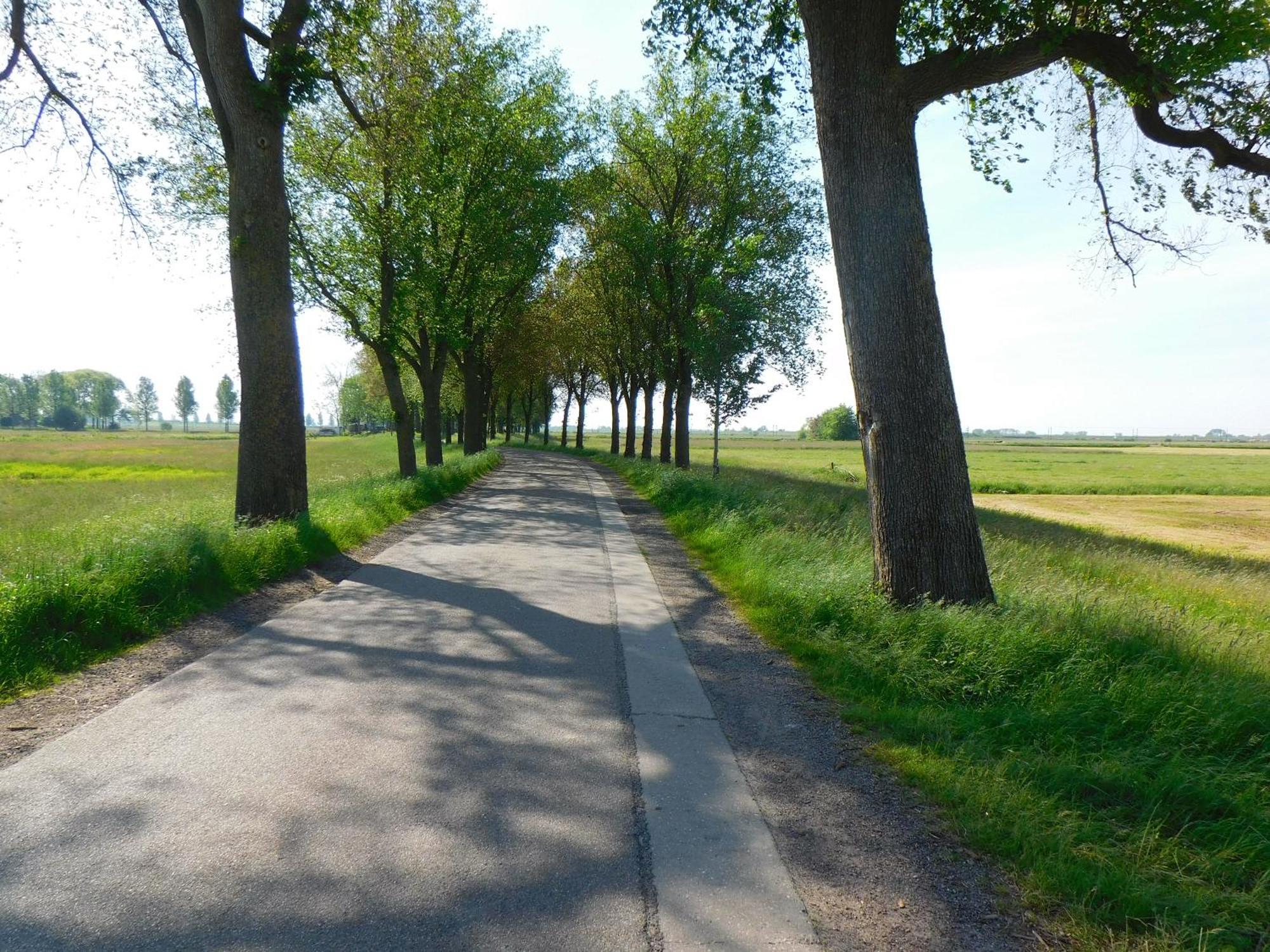 Deel Erf Het 8Ste Werk Apartamento Kampen Exterior foto